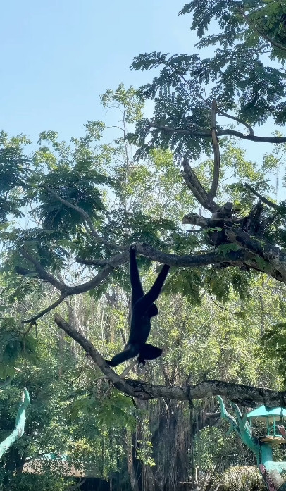 Chỉ vài giờ nữa, KDL 6.000 tỷ lớn bậc nhất Đông Nam Á của vợ chồng ông Dũng 'lò vôi' sẽ tặng vé miễn phí cho đối tượng đặc biệt này- Ảnh 7. Chỉ vài giờ nữa, KDL 6.000 tỷ lớn bậc nhất Đông Nam Á của vợ chồng ông Dũng 'lò vôi' sẽ tặng vé miễn phí cho đối tượng đặc biệt này- Ảnh 7.