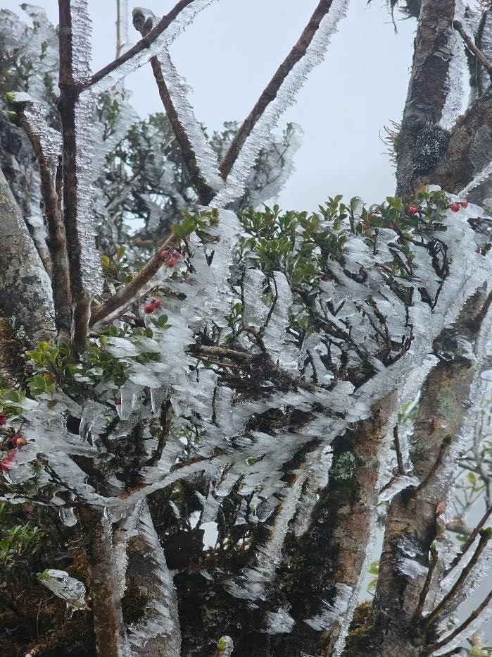 Ngay lúc này, Việt Nam xuất hiện băng tuyết - ảnh 1