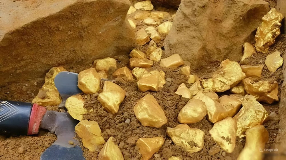 Phong tỏa khẩn cấp 150 tấn vàng, trị giá hơn 120.000 tỷ trong vườn của một người nông dân - ảnh 2