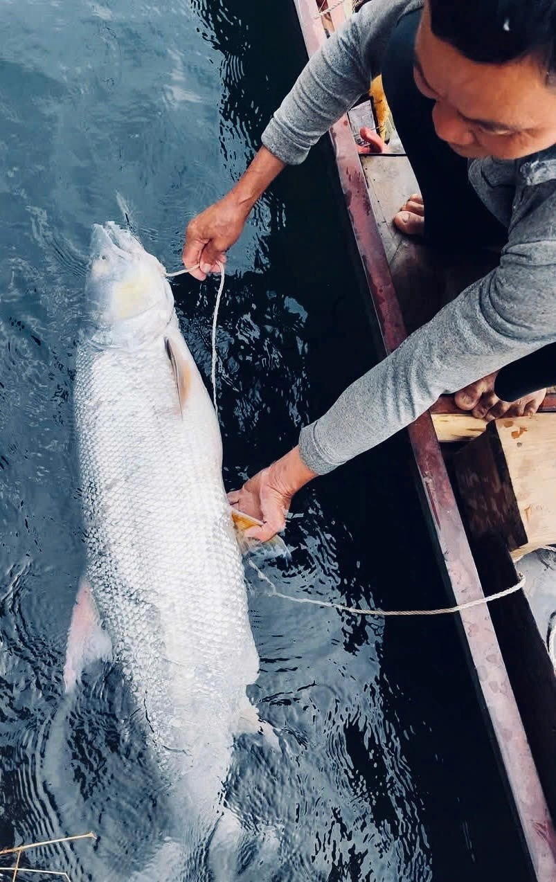 Con sông nội địa dài 500km, hội tụ 3 nhà máy thủy điện lớn nhất Việt Nam, chiếm 30% sản lượng điện cả nước - ảnh 4