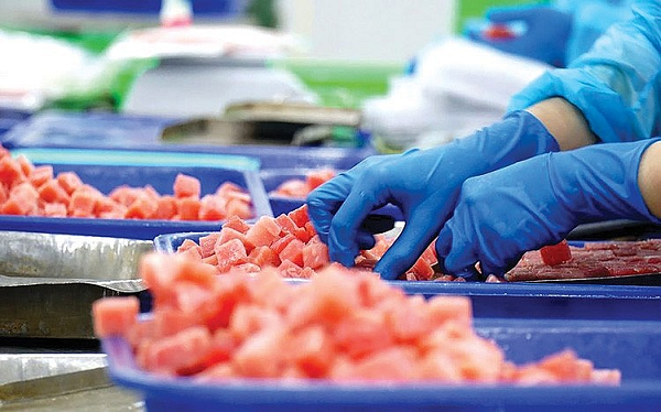 'Siêu thực phẩm' Việt lên ngôi: Thu về gần 800 triệu USD, EU - Italy tích cực chốt đơn, Ai Cập thành 'điểm vàng'