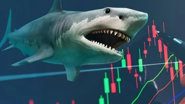 Hơn 70 quỹ ETF điều chỉnh danh mục tháng 10: Loạt cổ phiếu ngân hàng bị xả hàng chục triệu đơn vị; MSN, FPT, MWG được 'săn lùng'