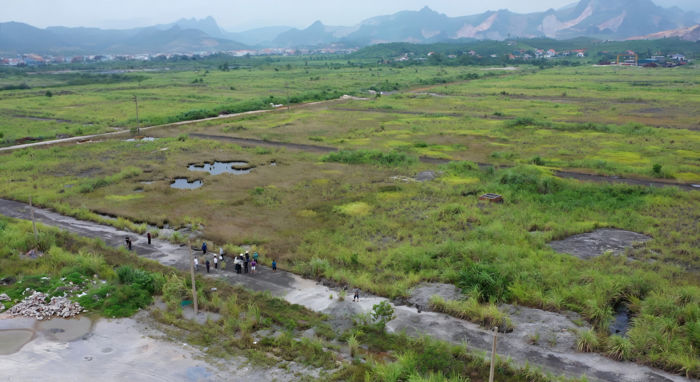 Dự án BĐS Bắc Cầu Bang sau gần 20 năm chỉ là nơi cỏ mọc um tùm. 1000006329.jpg
