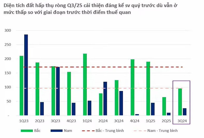 Screenshot 2025-11-21 173936