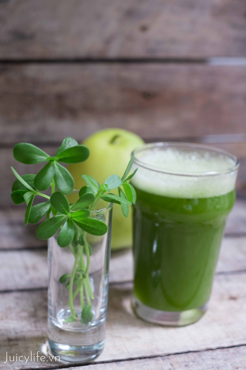 Loại rau người Trung Quốc xem là 'rau trường thọ' nhưng ở Việt Nam lại nhổ bỏ - ảnh 2