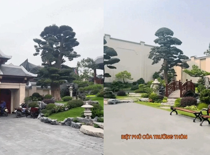 Chiêm ngưỡng biệt phủ bề thế mang phong cách Nhật Bản của trưởng thôn trẻ giàu nhất Việt Nam- Ảnh 3.