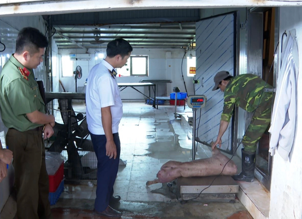 Khởi tố vợ chồng chủ trại lợn Lê Duy Dương - ảnh 2