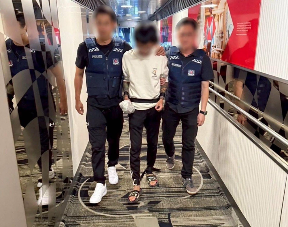 Bắt khẩn cấp tội phạm bị Interpol truy nã đỏ - ảnh 1