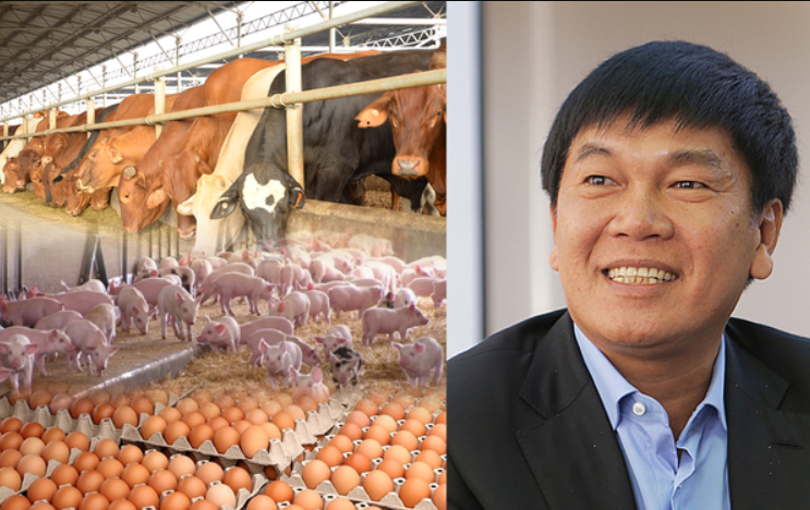 IPO mảng nông nghiệp: Hòa Phát 'tham chiến' cùng 267 doanh nghiệp khác tại Việt Nam