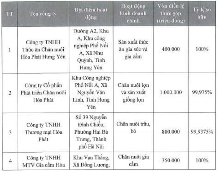 HPA hiện đang nắm vốn trực tiếp tại 4 công ty con