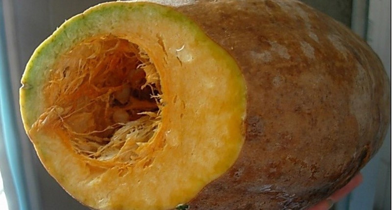 5 loại rau củ có thể 'đầu độc' gan, nhiều người vẫn ăn vô tư - ảnh 2