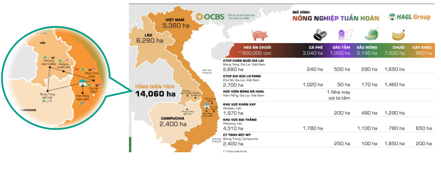 Mô hình nông nghiệp tuần hoàn của HAGL