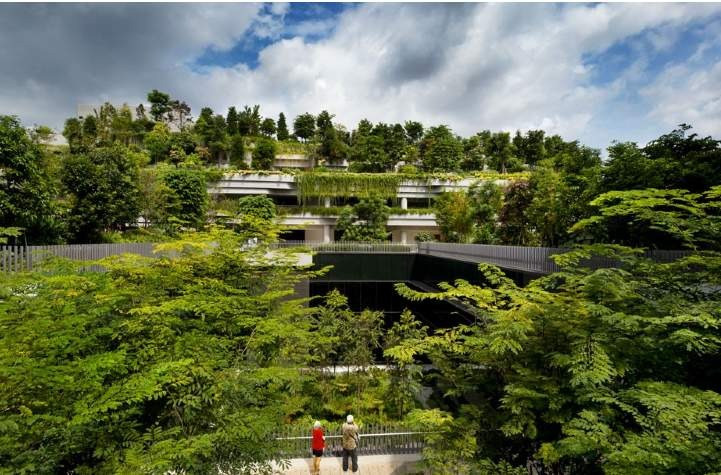 Bất động sản dưỡng lão vào ‘tầm ngắm’ của doanh nghiệp: Vingroup, Novaland, Sun Group sẽ đi trước đón đầu?- Ảnh 1.