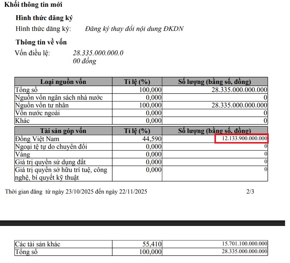 Cơ cấu tài chính của VinEnergo sau khi tăng vốn