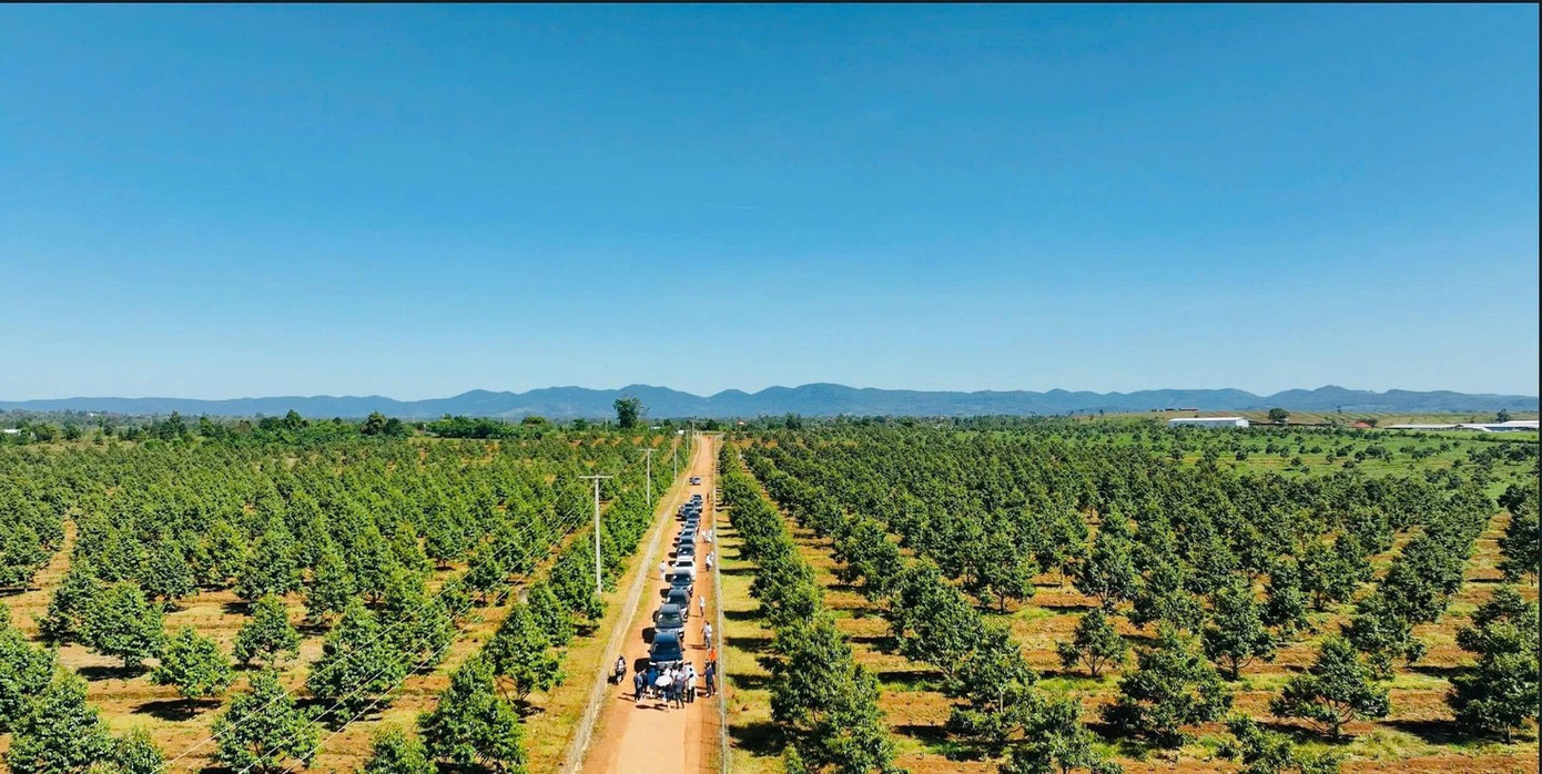 Nông trường của HAG. 1-6819.jpg