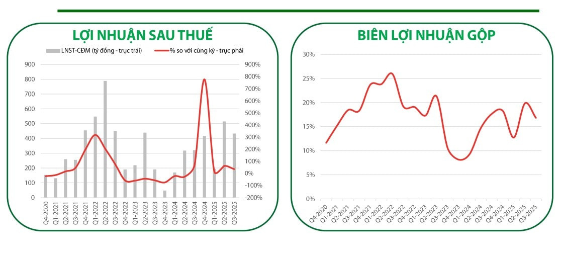 Screenshot 2025-11-25 121630