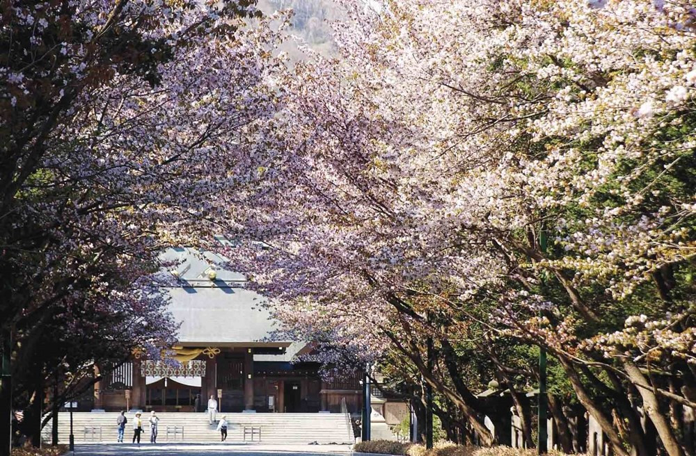 Quốc gia 3 năm liên tiếp được báo Mỹ vinh danh 'hấp dẫn nhất thế giới', đón lượng khách Việt cao kỷ lục - ảnh 6