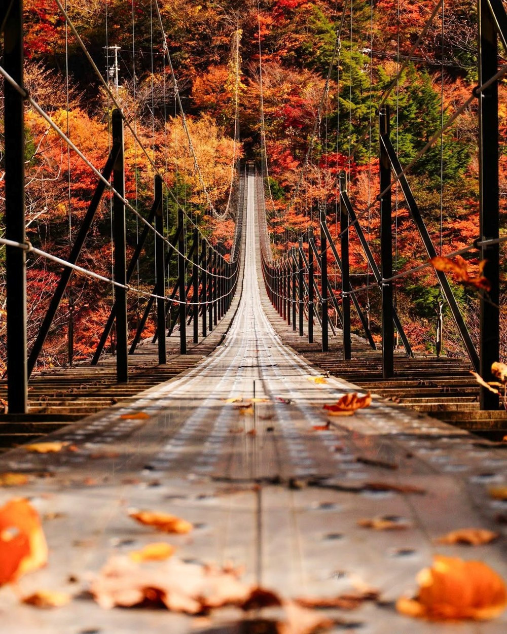 Quốc gia 3 năm liên tiếp được báo Mỹ vinh danh 'hấp dẫn nhất thế giới', đón lượng khách Việt cao kỷ lục - ảnh 1