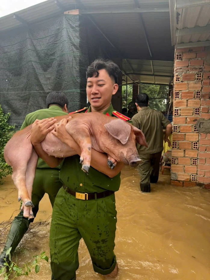 Chiến sĩ công an hỗ trợ người dân Đak Lua di chuyển vật nuôi đến nơi an toàn. 2025-11-2116-49-38-17637816491991270583654jpg.jpg