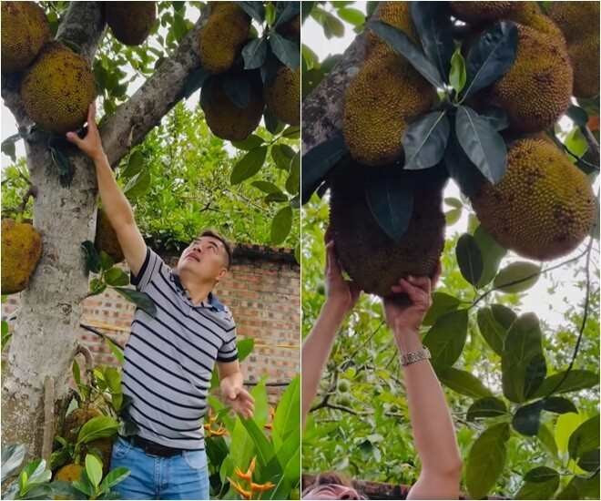 Nữ NSND trẻ nhất Việt Nam sở hữu biệt phủ 8.000m² bề thế ở ngoại thành Hà Nội - ảnh 17