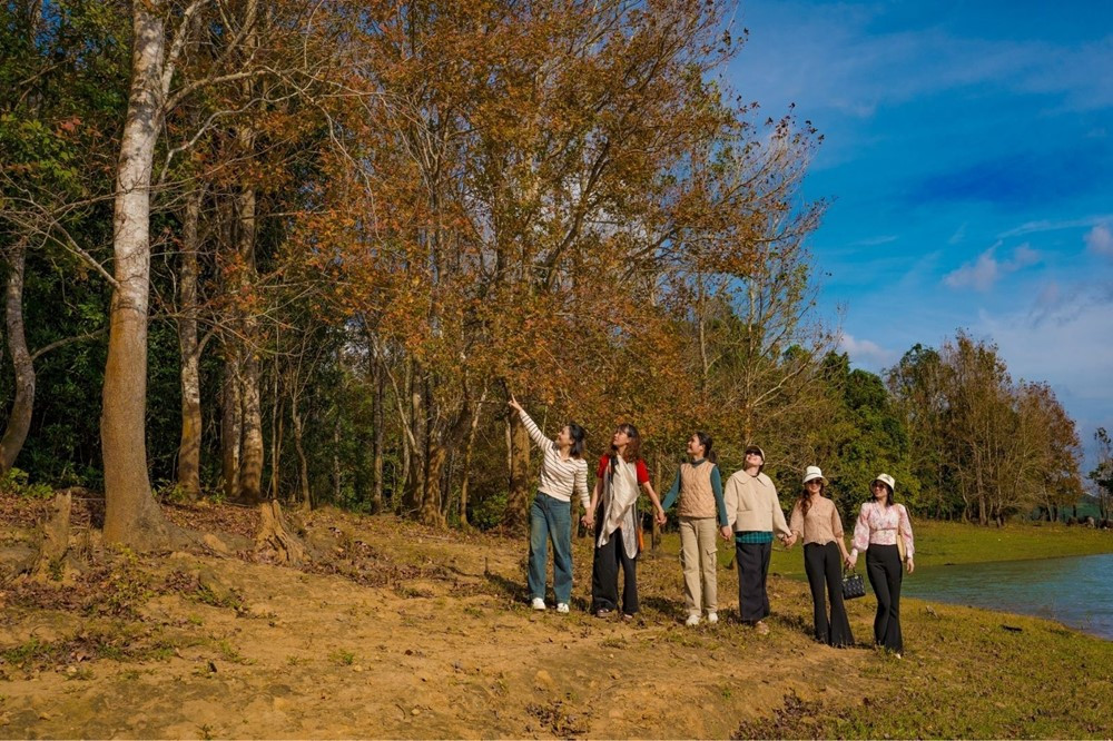 Miền Trung của Việt Nam có một nơi được ví như 'góc trời Âu thu nhỏ', rừng phong hương đổi màu đẹp ngỡ ngàng - ảnh 4