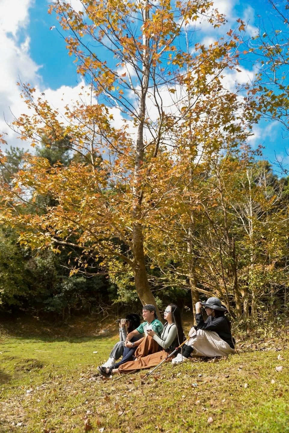 Miền Trung của Việt Nam có một nơi được ví như 'góc trời Âu thu nhỏ', rừng phong hương đổi màu đẹp ngỡ ngàng - ảnh 3