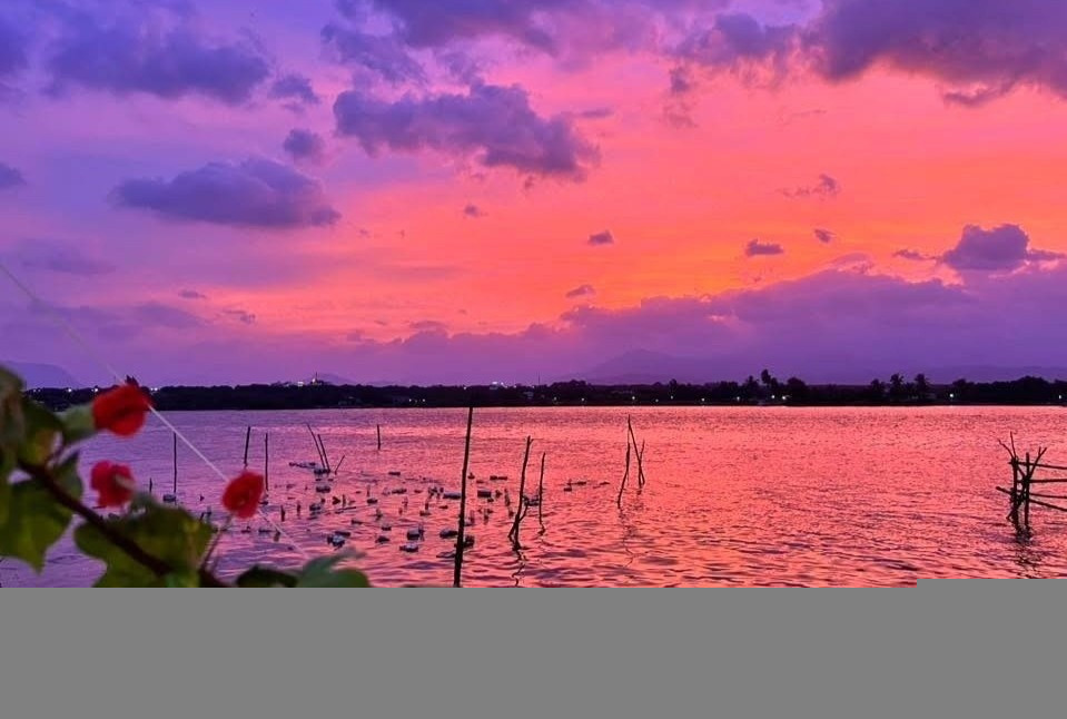 Bầu trời tím ở Khánh Hòa chiều 25/11 gây chú ý. Khoảnh khắc chụp lúc 17h10 phút chiều 25/11 tại xã Cam Lâm, Khánh Hòa. Ảnh: Beat Khánh Hòa.