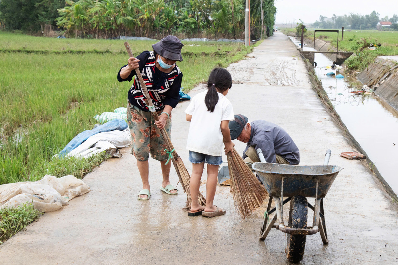 Vợ chồng ông Trịnh Liên cùng cháu nhỏ nhặt từng hạt lúa đổ ra đường sau khi phơi. tienphong-1-4050.jpg