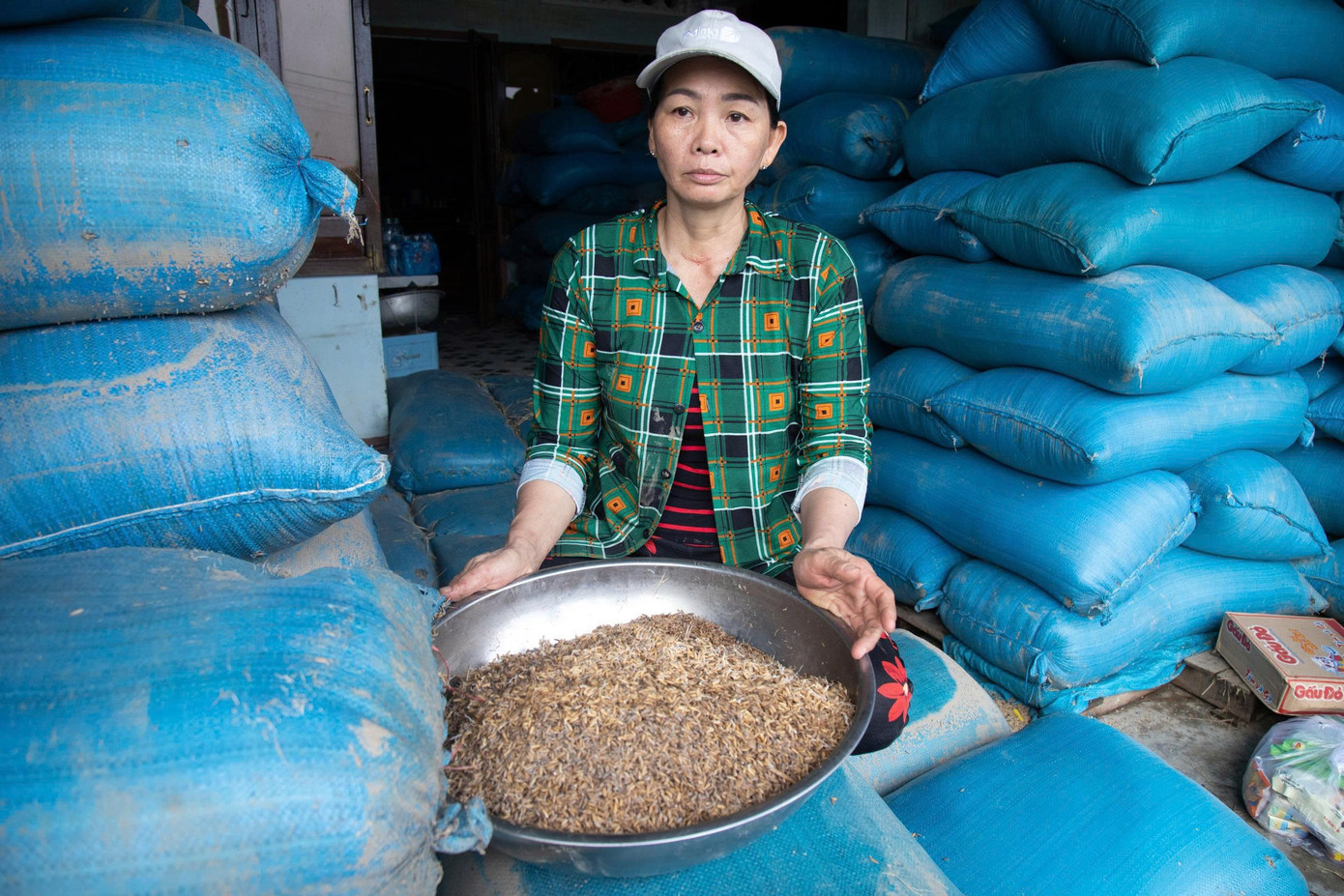 Người dân thất thần bên đống lúa đã lên mầm. tienphong-1-321.jpg