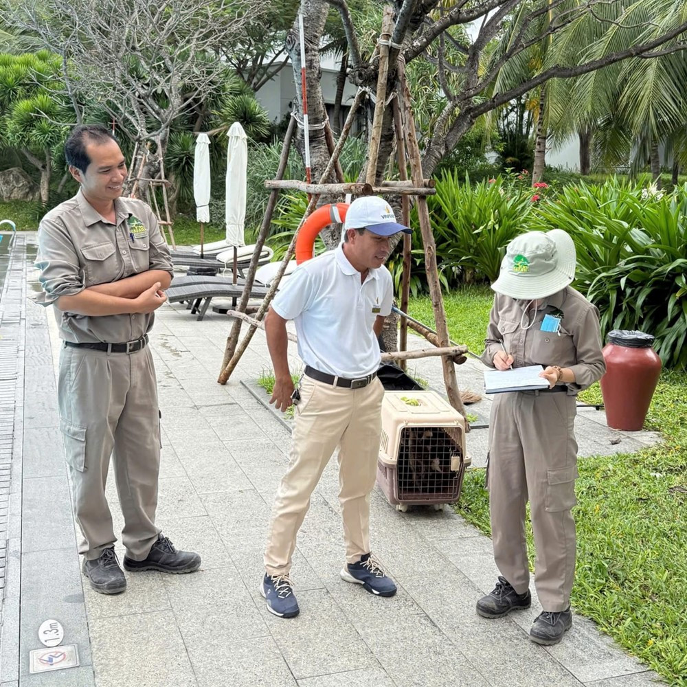 Vinpearl Nha Trang phát 'tin khẩn' - ảnh 1