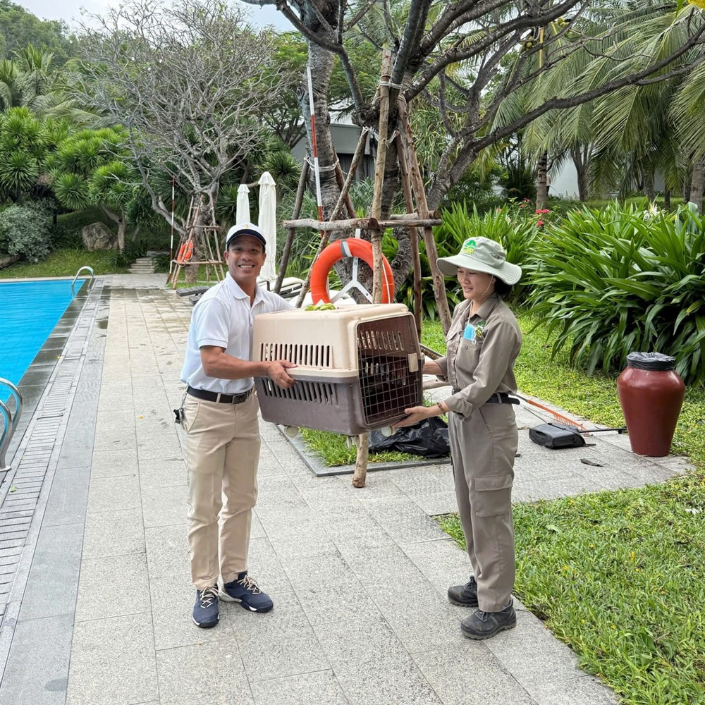 Vinpearl Nha Trang phát 'tin khẩn' - ảnh 2