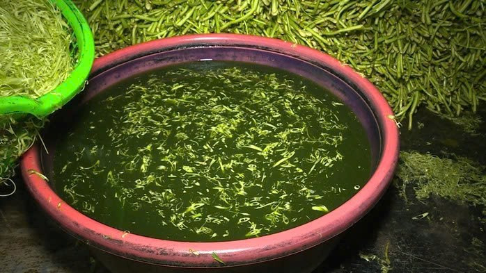 5 dấu hiệu nhận biết rau củ bị ngâm hóa chất - ảnh 3