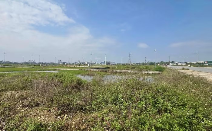 Một lô đất cấp xã ở Nghệ An gây 'sốc' với giá khởi điểm hơn 12 tỷ đồng- Ảnh 1.