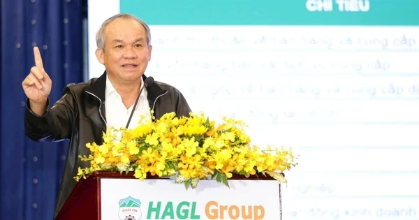 Sau cú ‘bắt tay’ chiến lược với HAGL, một CTCK công bố phát hành 200 triệu cổ phiếu, tăng vốn lên 3.200 tỷ đồng