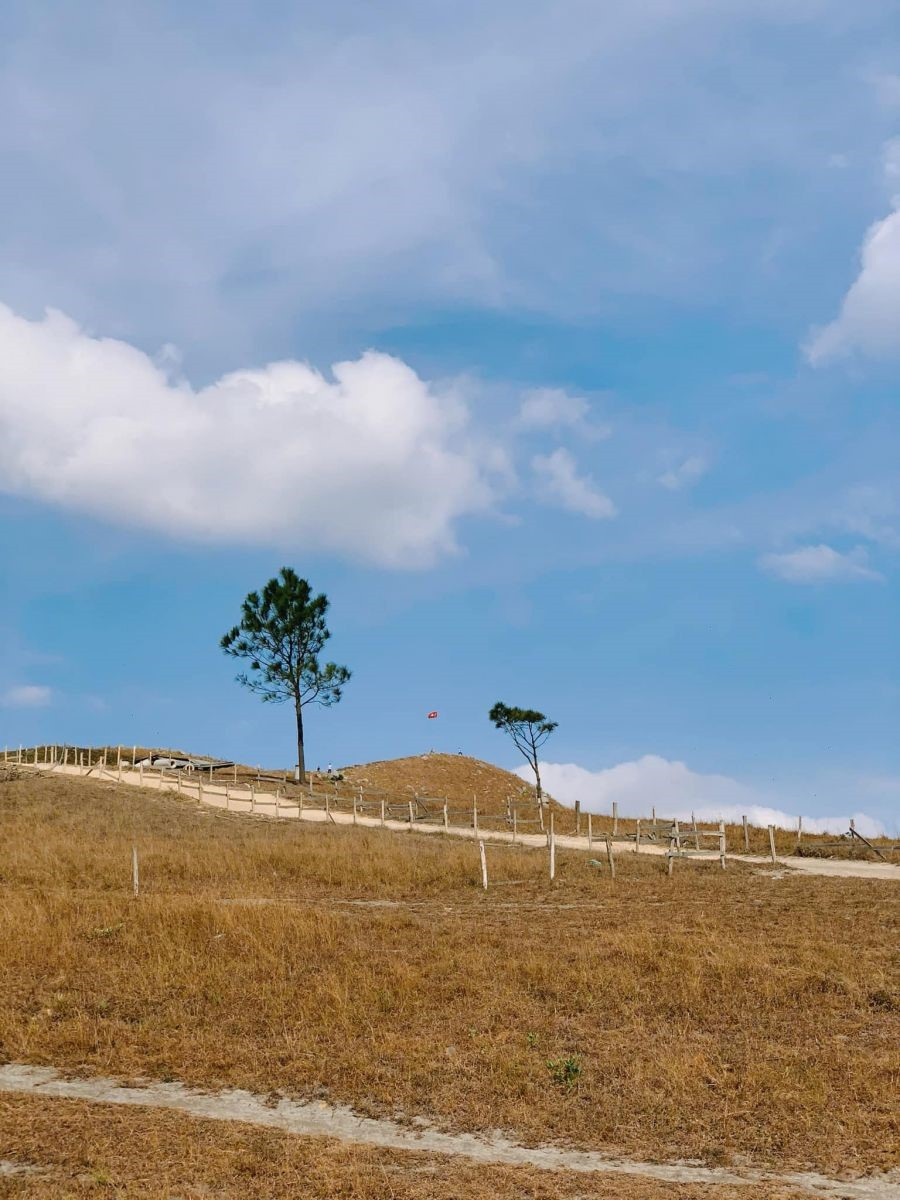 Cách Hà Nội chỉ 2 tiếng đi xe có một đồi cỏ cháy đẹp như phim Hàn Quốc, rất nguyên sơ, cắm trại đẹp đỉnh - ảnh 3