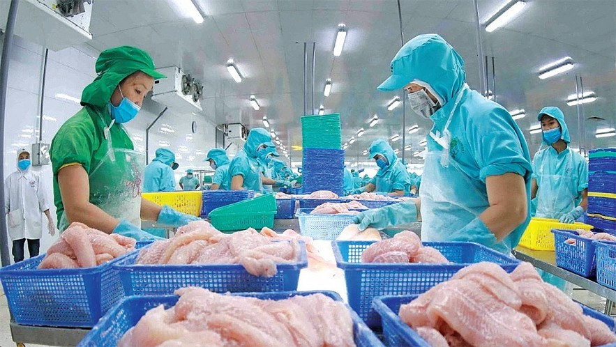 Xuất khẩu thuỷ sản sang Mỹ trong những tháng gần đây bước vào biến động. thuy-san-2.jpg