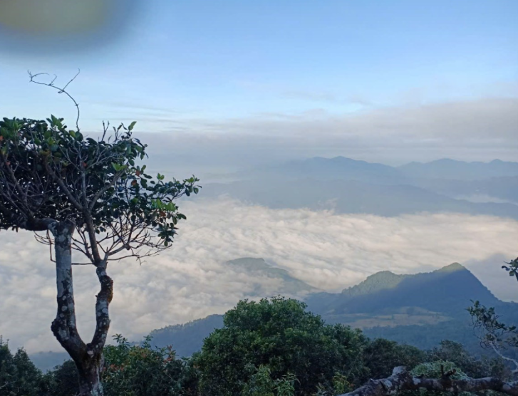 Việt Nam sẽ có thêm trung tâm du lịch sinh thái chuyên nghiệp, là khu bảo tồn thiên nhiên rộng gần 18.000ha- Ảnh 2.