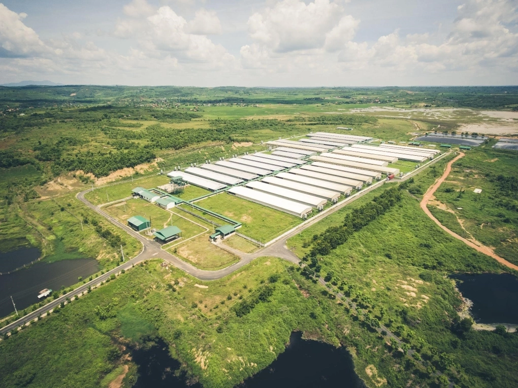 Đại gia chăn nuôi 'kín tiếng' báo lãi 1.716 tỷ đồng, vượt xa loạt ông lớn Nông nghiệp Hòa Phát, Dabaco, BAF...