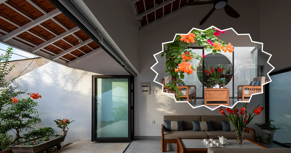 Căn nhà hồi sinh nếp sống xưa giữa lòng đô thị ồn ã