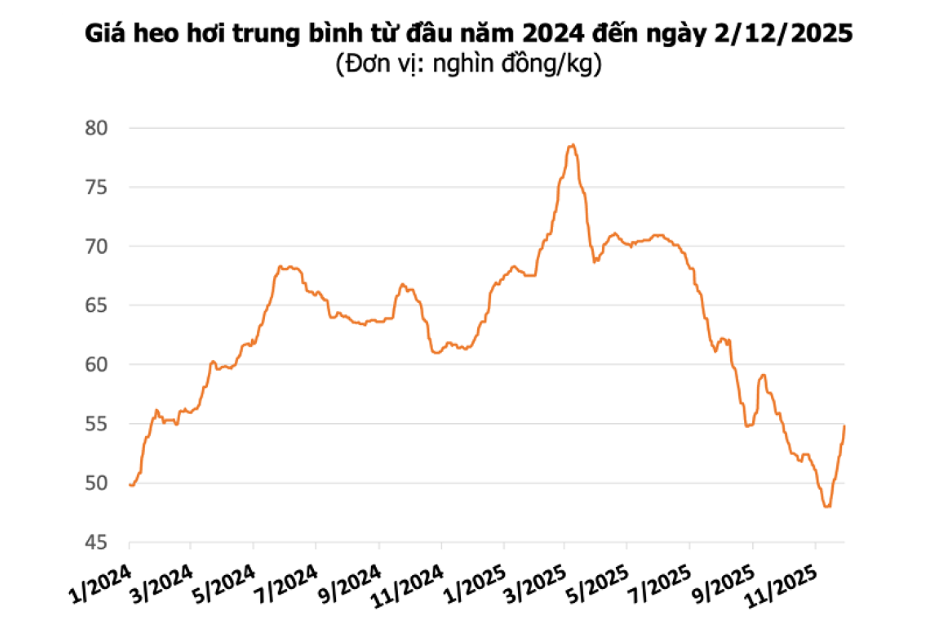 Ảnh chụp màn hình 2025-12-03 094938