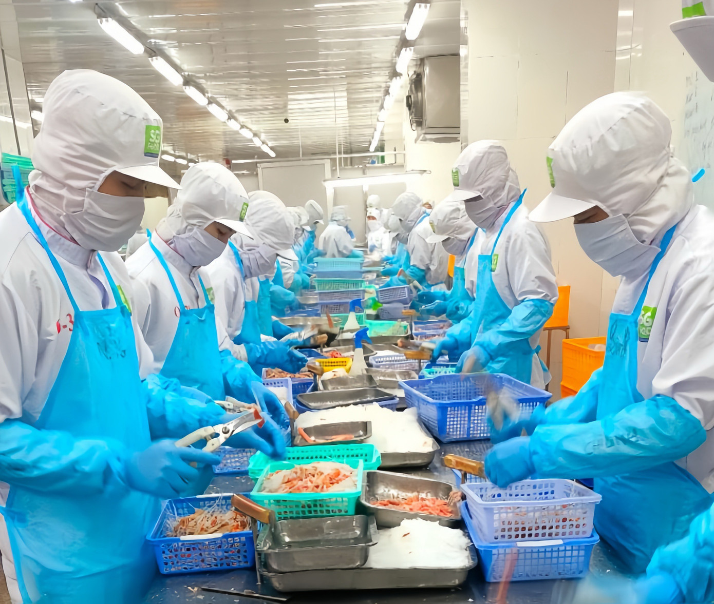 Nhiều doanh nghiệp cần vốn mua thêm nguyên liệu, thuê thêm nhân công để tăng sản xuất cuối năm (ảnh tại Công ty Sài Gòn Food). Ảnh: U.P 5a.jpg