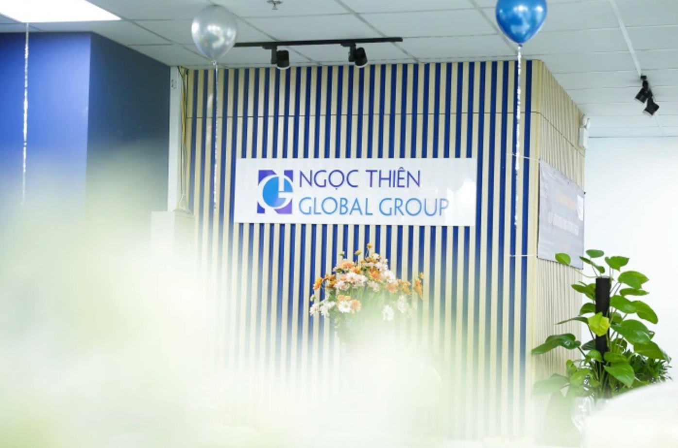 Ngọc Thiên Global bị phạt nặng, hé lộ những con số tài chính với hàng chục công ty khác gây bất ngờ