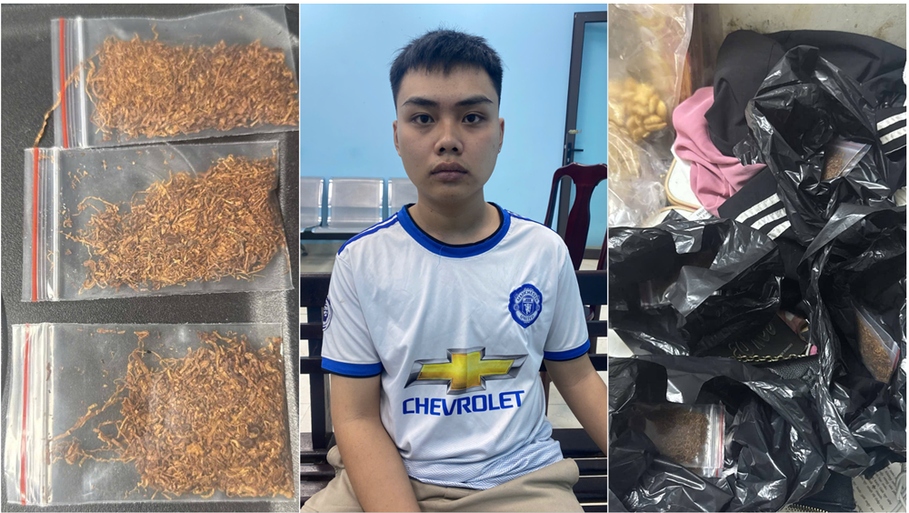 Bắt khẩn cấp, khám xét nơi ở của sinh viên Trương Phạm Bình Minh