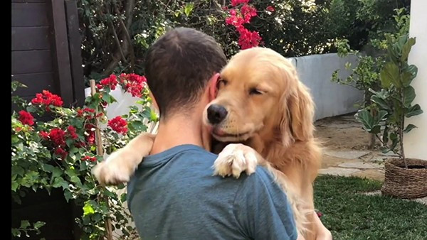 Phát hiện mới: Con người và chó có nhiều đặc điểm tâm lý, hành vi giống nhau - ảnh 2