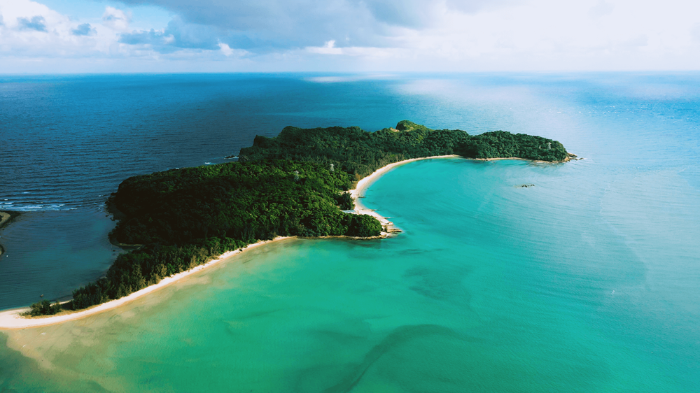 Việt Nam chính thức thành lập khu bảo tồn biển mới, rộng hơn 18.400ha tại khu vực phía Bắc - ảnh 1