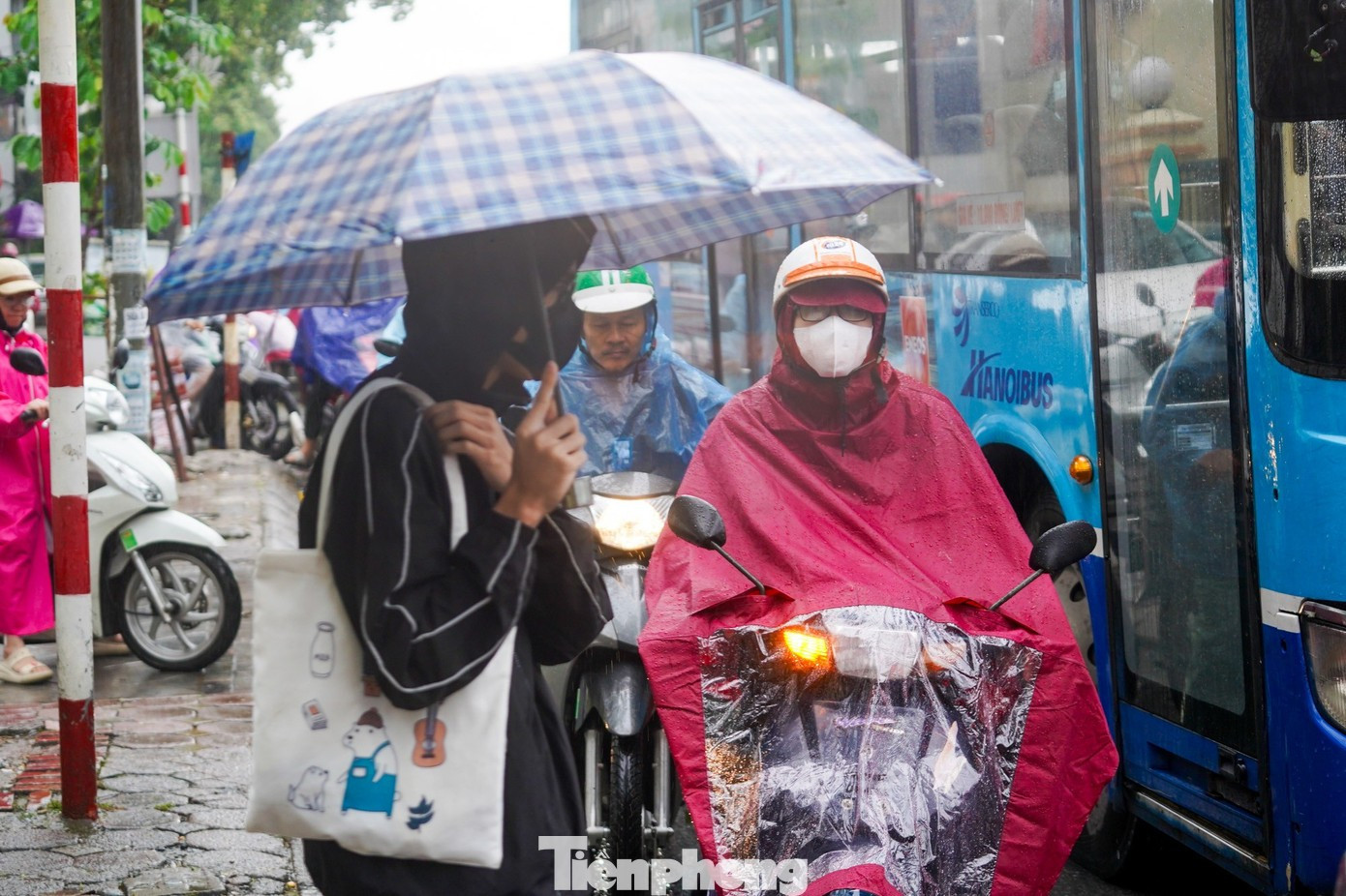 Miền Bắc có thể đón không khí lạnh mạnh từ khoảng 11/12 gây mưa dông. image.jpg