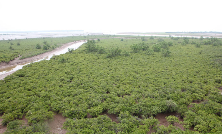 Ninh Bình chính thức có vườn di sản ASEAN đầu tiên khu vực miền Bắc- Ảnh 1. Ninh Bình chính thức có vườn di sản ASEAN đầu tiên khu vực miền Bắc- Ảnh 1.