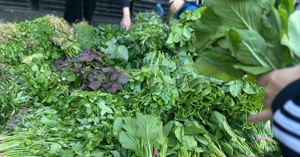 Giá thực phẩm 'kéo' CPI tăng Giá thực phẩm 'kéo' CPI tăng