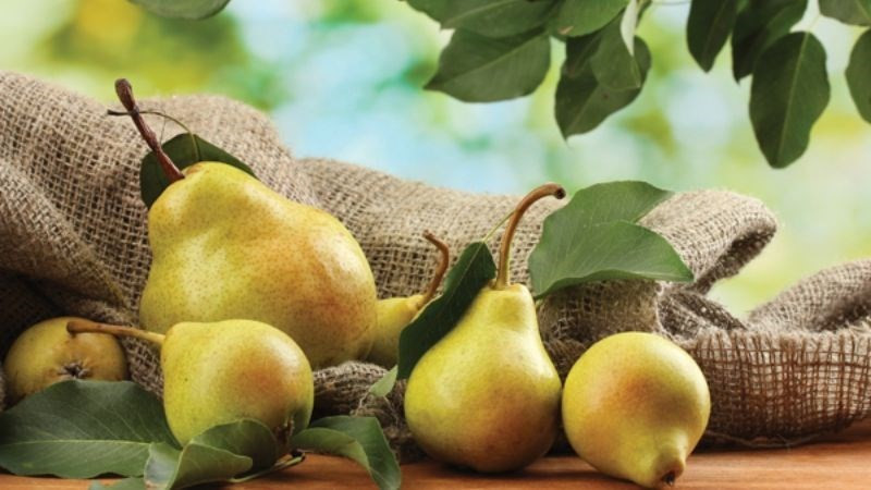 Loại quả được mệnh danh là ‘vua của trăm loại quả’, ở Việt Nam có giá chỉ từ 20.000 đồng/kg - ảnh 1