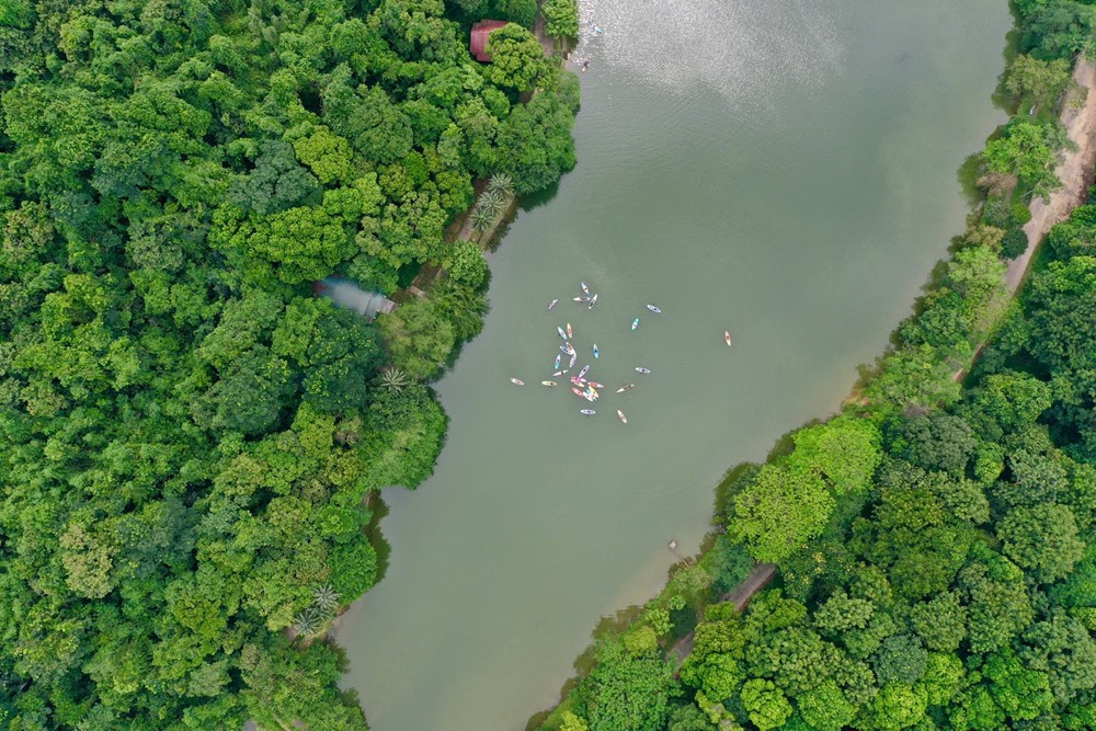 Tỉnh có nhiều VQG nhất cả nước, có một nơi 6 năm liên tiếp được truyền thông thế giới vinh danh - ảnh 2